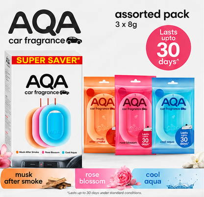Hanging Car Freshener Assortment Set (Pack of 3) - Auto Accessories, Smoke Odor Remover, Oil Deodorizer, Musk Scent, Cars, Long-Lasting
